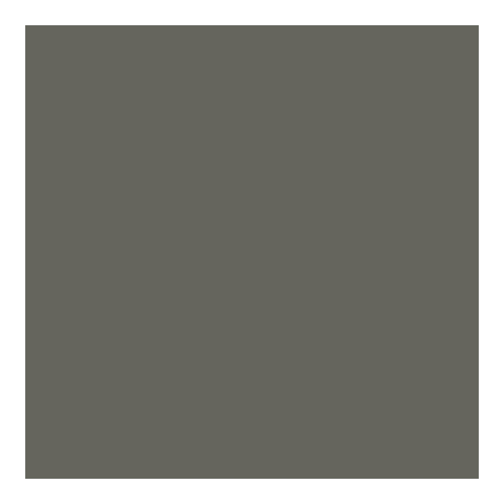 Weathered Gray